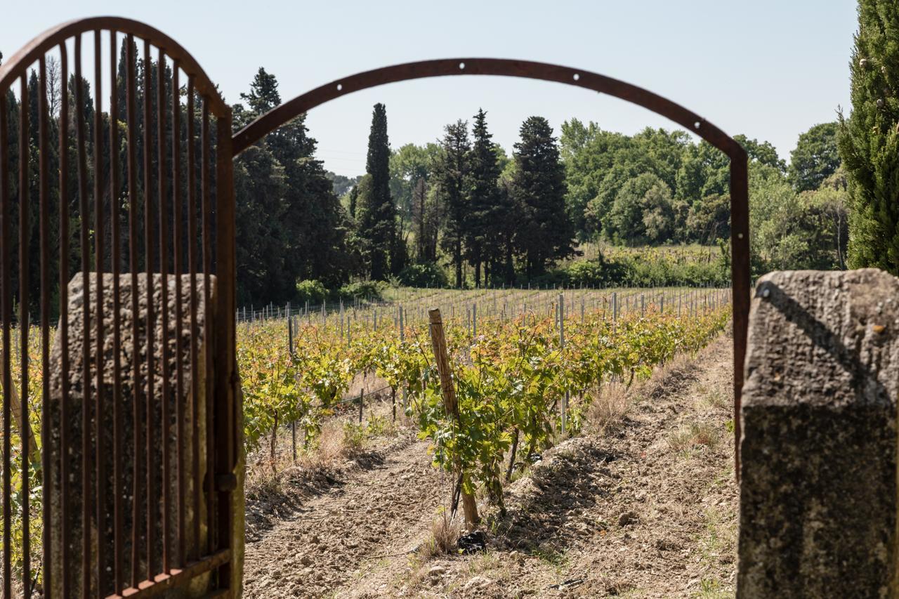 Chateau Des Cinq Cantons Carpentras Exterior foto